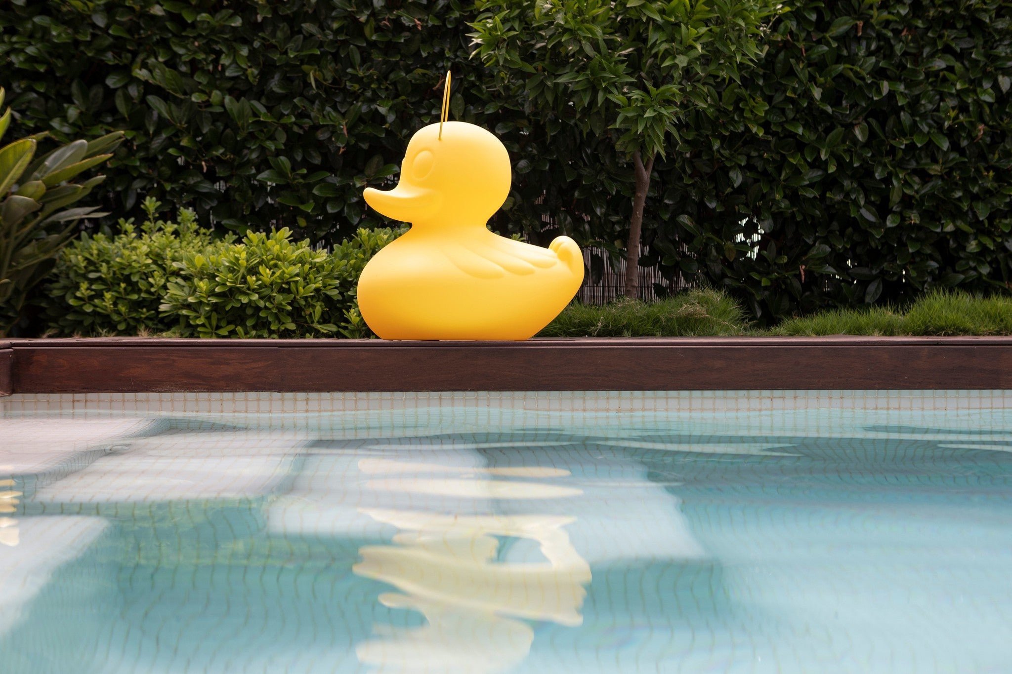 The DUCK-DUCK Lamp XL 53cm