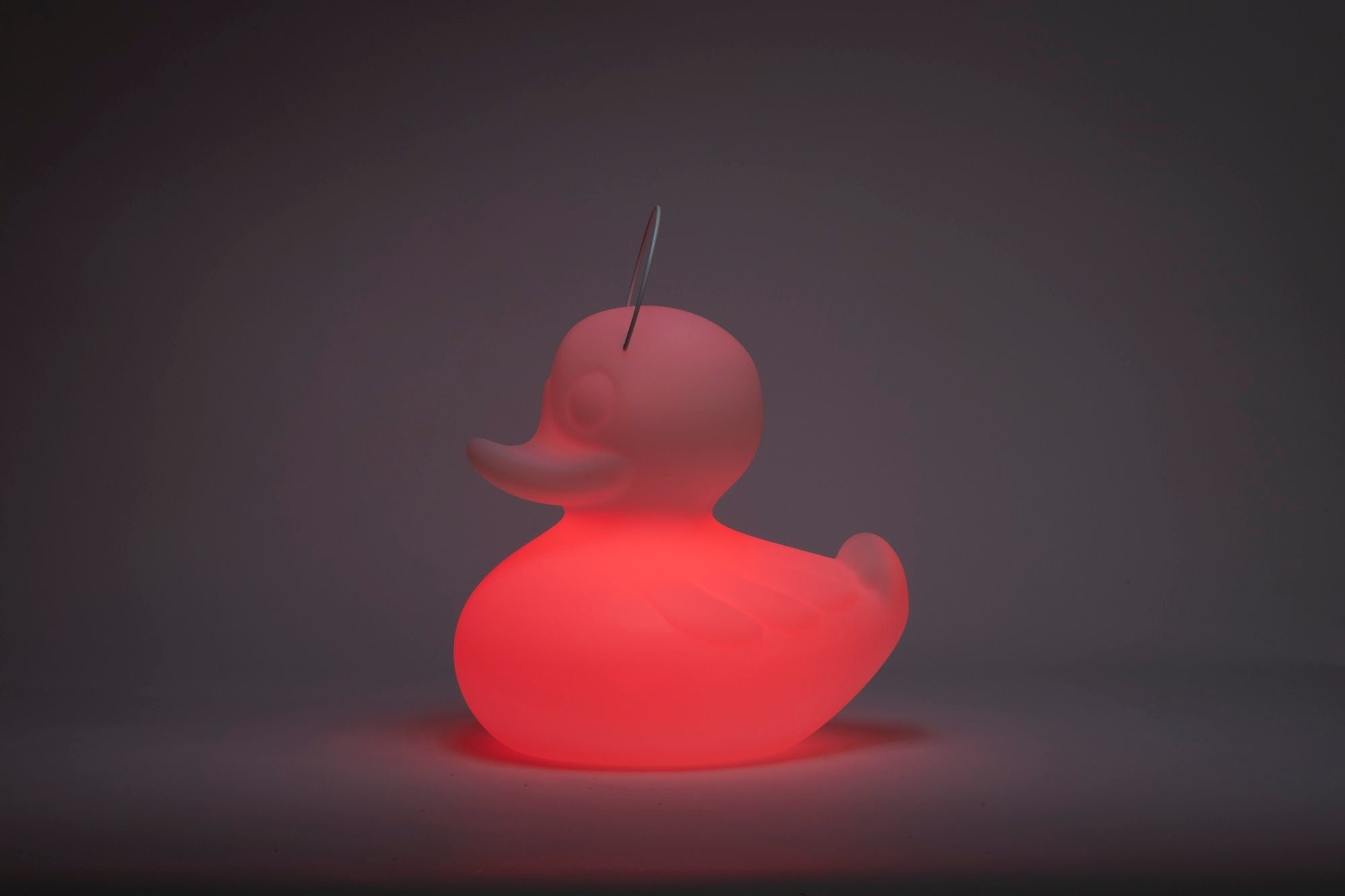 The DUCK-DUCK Lamp XL 53cm