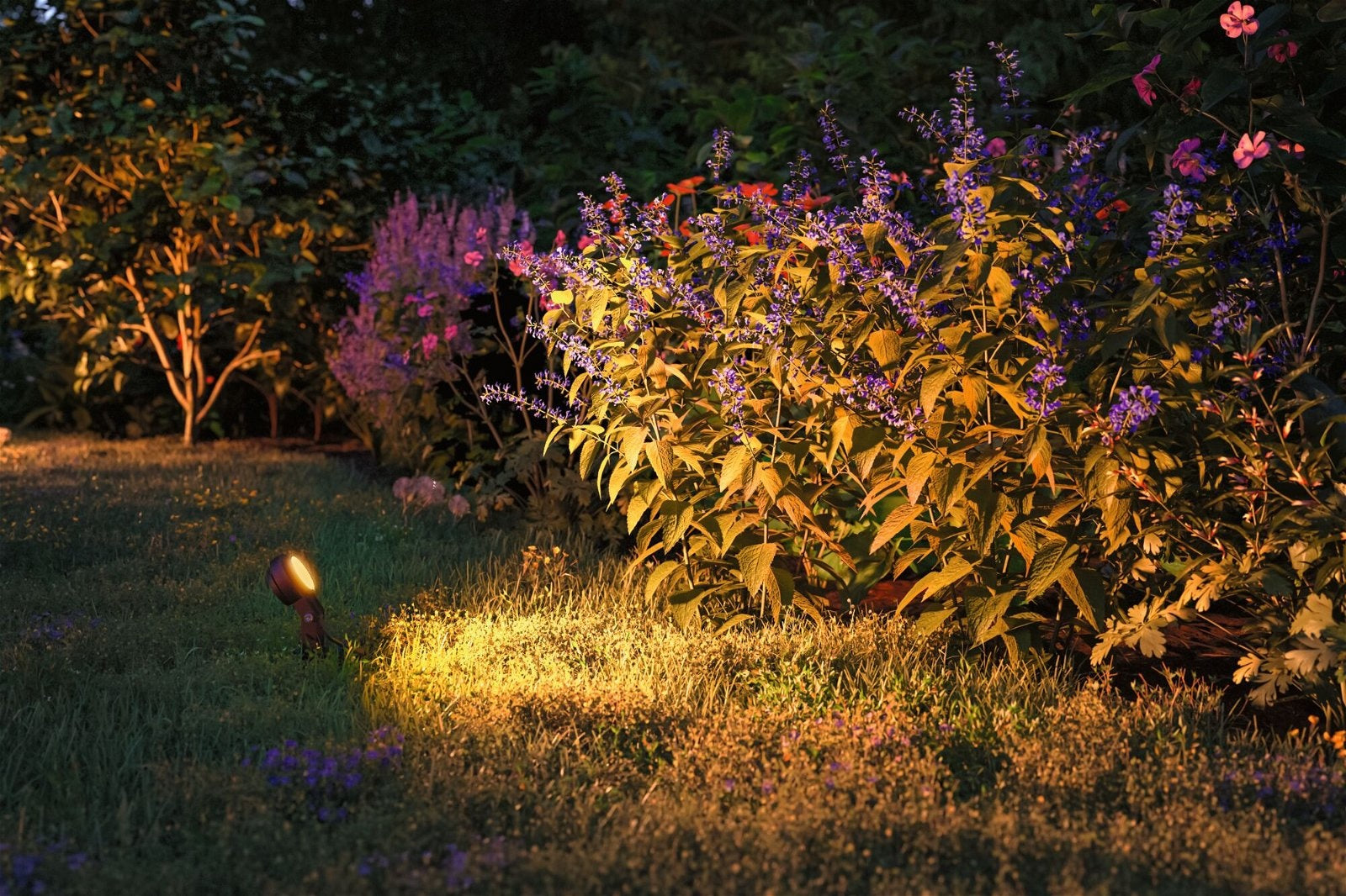  Plug & Shine LED Gartenstrahler Sting Basisset insektenfreundlich 